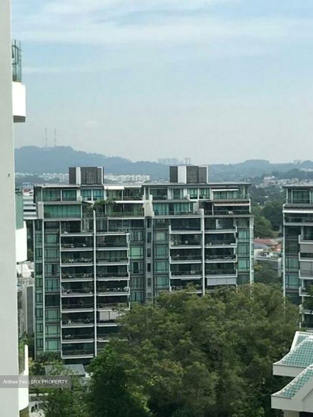 Lush On Holland Hill (D10), Condominium #533165051